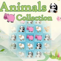 Animals Collection