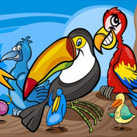 Exotic Birds Coloring