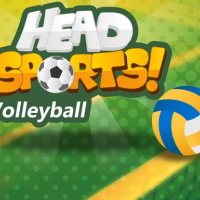 Head Sports Volleyball