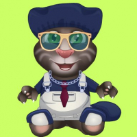 Talking Tom Makeover	