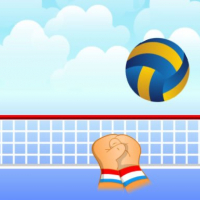 Volleyball